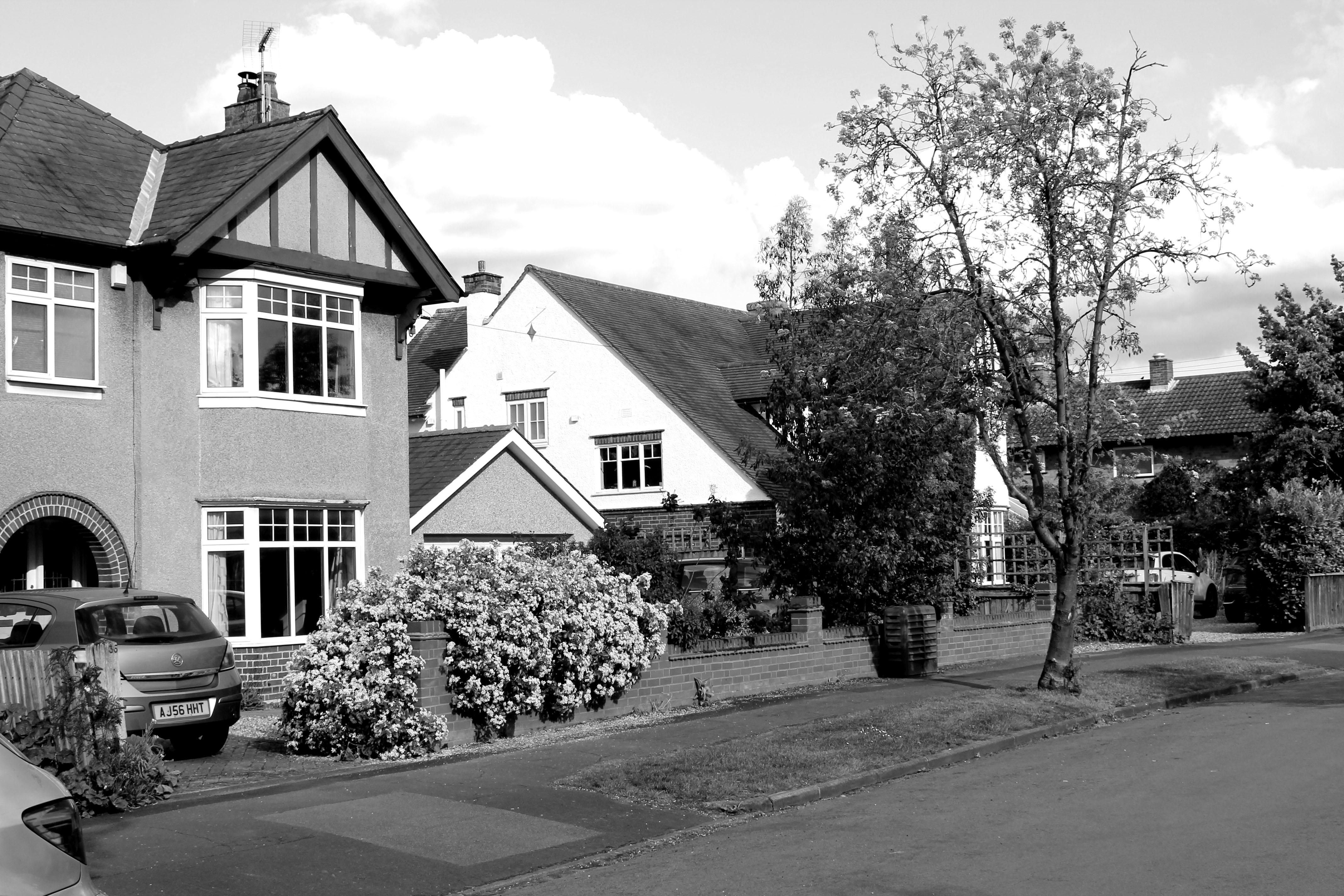 B and W copy 7793.JPG